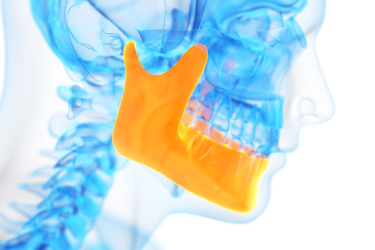 jaw bone graphic
