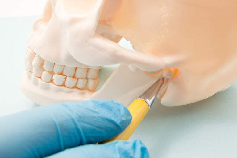 TMJ Jaw Bone