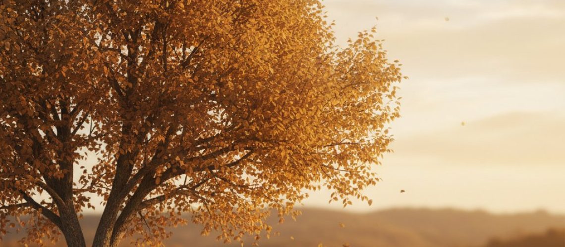 Golden pecan tree with falling leaves in Texas autumn. Blurred dental office below, distant hills in warm sunlight.