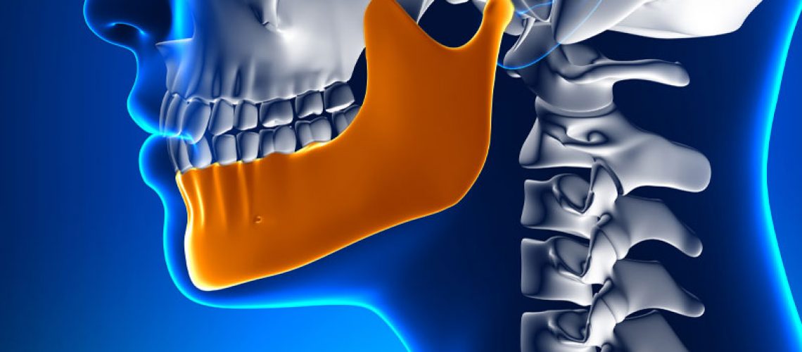 Jaw Bone Graphic